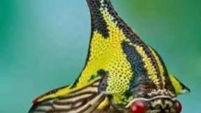 عجایب دنیا ۴۳۲