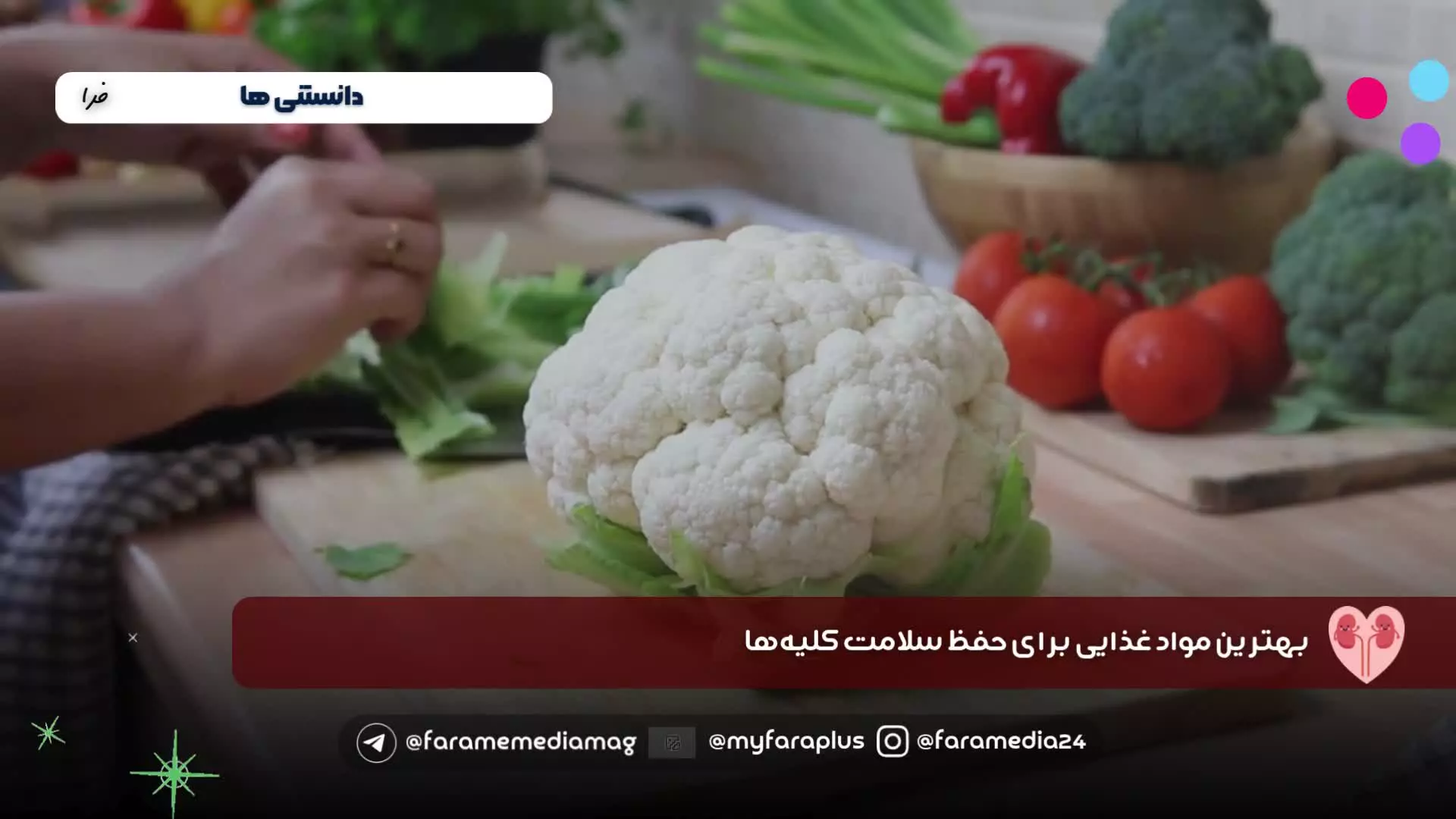 بهترین خوراکی‌ها برای سلامت کلیه‌ها