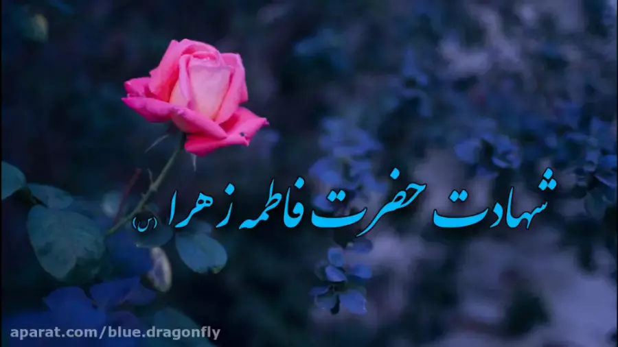 ایام سوگواری شهادت حضرت زهرا دختر پیامبر | کلیپ تسلیت وفات حضرت زهرا