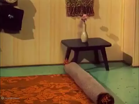 پت و مت . کارتون جدبد پت و مت . برنامه کودک