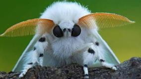 عجایب دنیا ۶۴