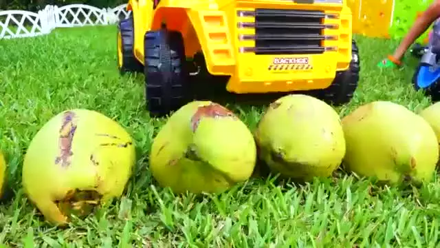 ولاد ونیکی ، برنامه کودک ولاد و نیکی