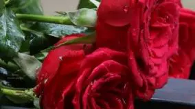 توپ بازی کردن خاله رزیتا "برترین مجری کودک ایران" با پیش دبستانی ها