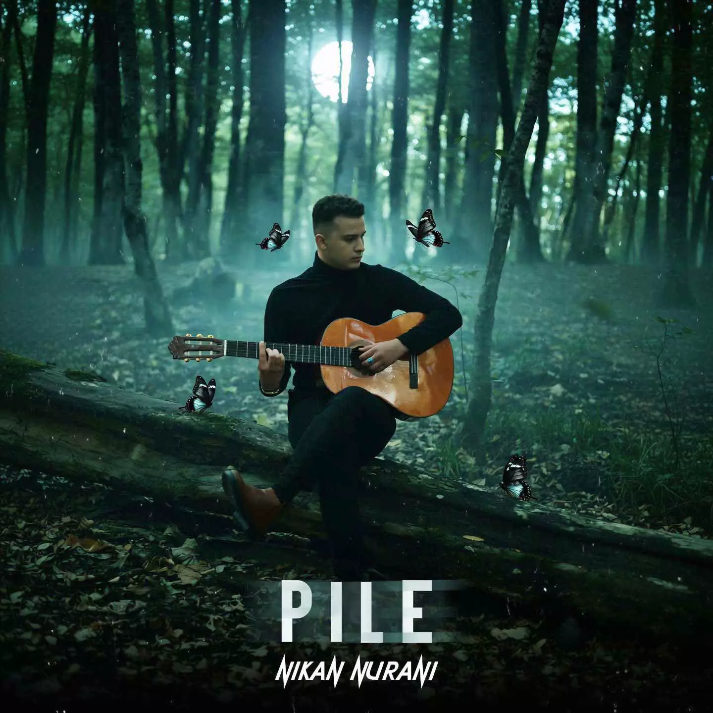 Music Nikan Nurani - Pile |  نیکان نورانی پیله