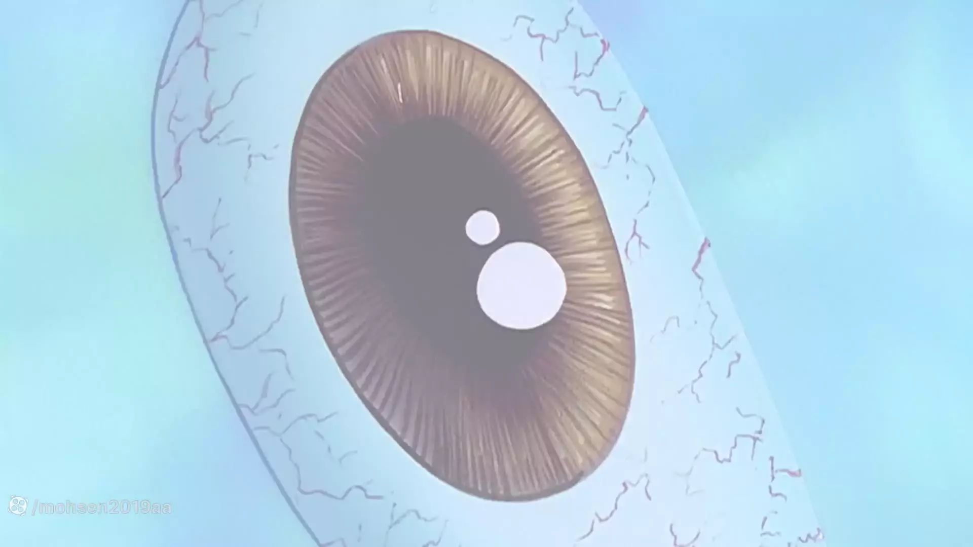 باب اسفنجی جذاب - برنامه کودک باب اسفنجی فان و خنده دار