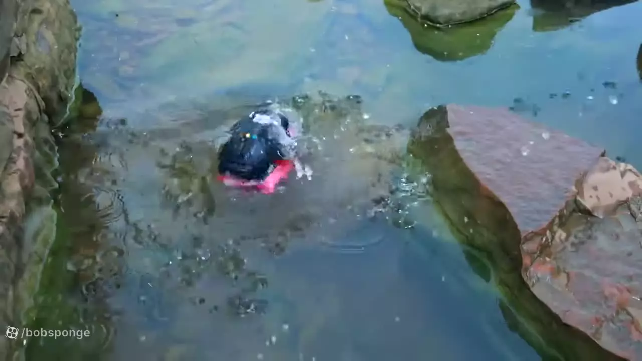 برنامه کودک ماشین بازی ؛ ماشین پلیس ؛ کارتون ماشین پلیس ؛ کامیون ؛ تویوتا