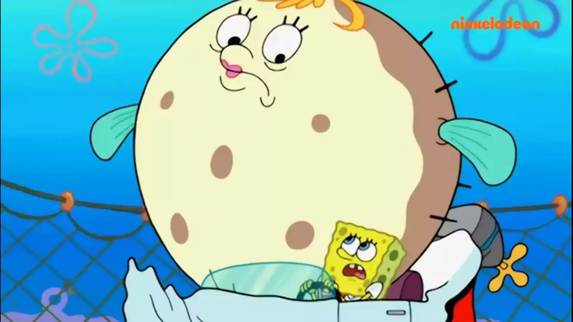 باب اسفنجی: ماجراهای جدید در کارتون جذاب  - برنامه کودک باب اسفنجی