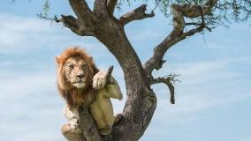 عجایب دنیا ۶۴۳