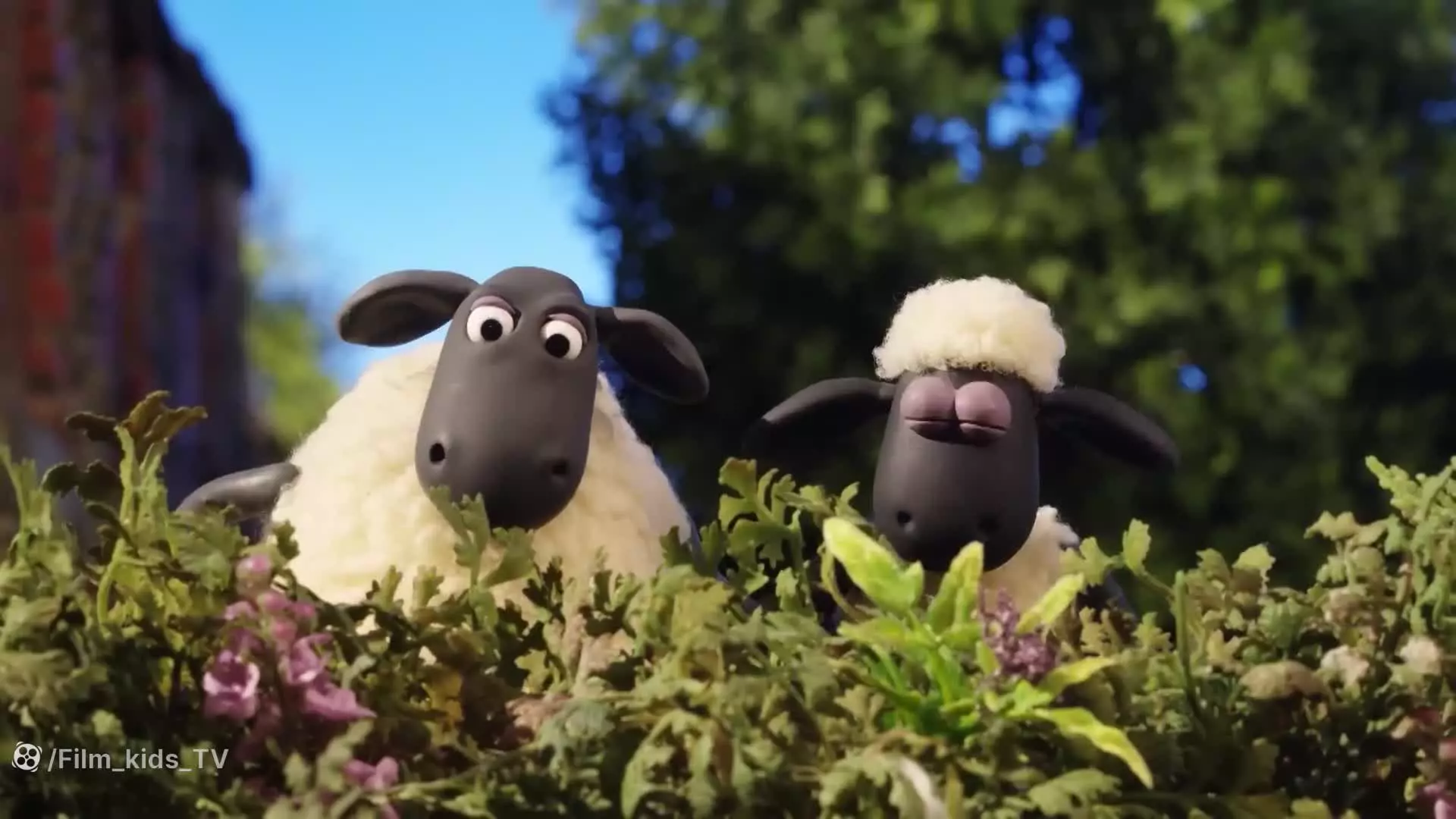 کارتون بره ناقلا بدون دیالوگ | انیمیشن بره ناقلا خنده‌دار و مناسب کودک