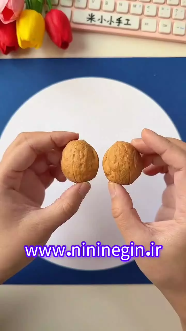 آموزش ساخت موش با پوست گردو