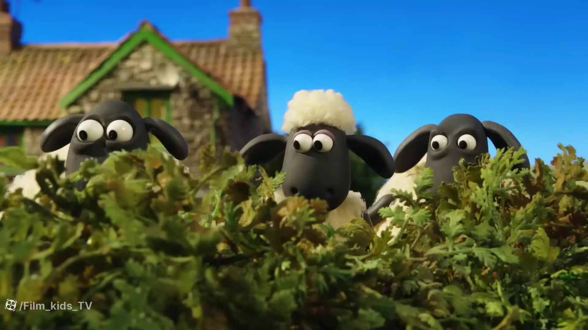 کارتون بره ناقلا و بیگانه فضایی | ماجرای بره های قرمز در مزرعه