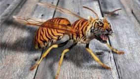 عجایب ودانستنی ۴۳