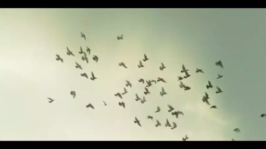 تیزر اصلی سریال بامداد خمار | جدیدترین سریال ایرانی بامداد خمار ترلان پروانه