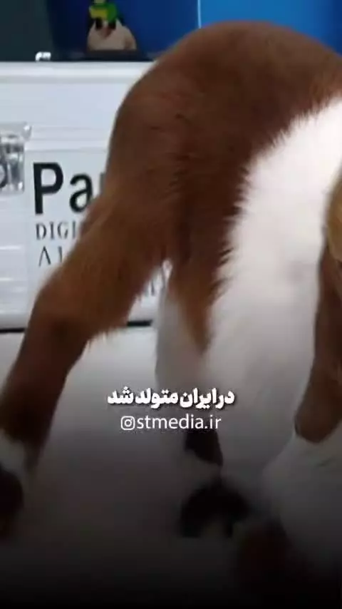 پیشرفت علم در کشور بعد از انقلاب