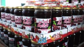 تولید محتوا در تبریز