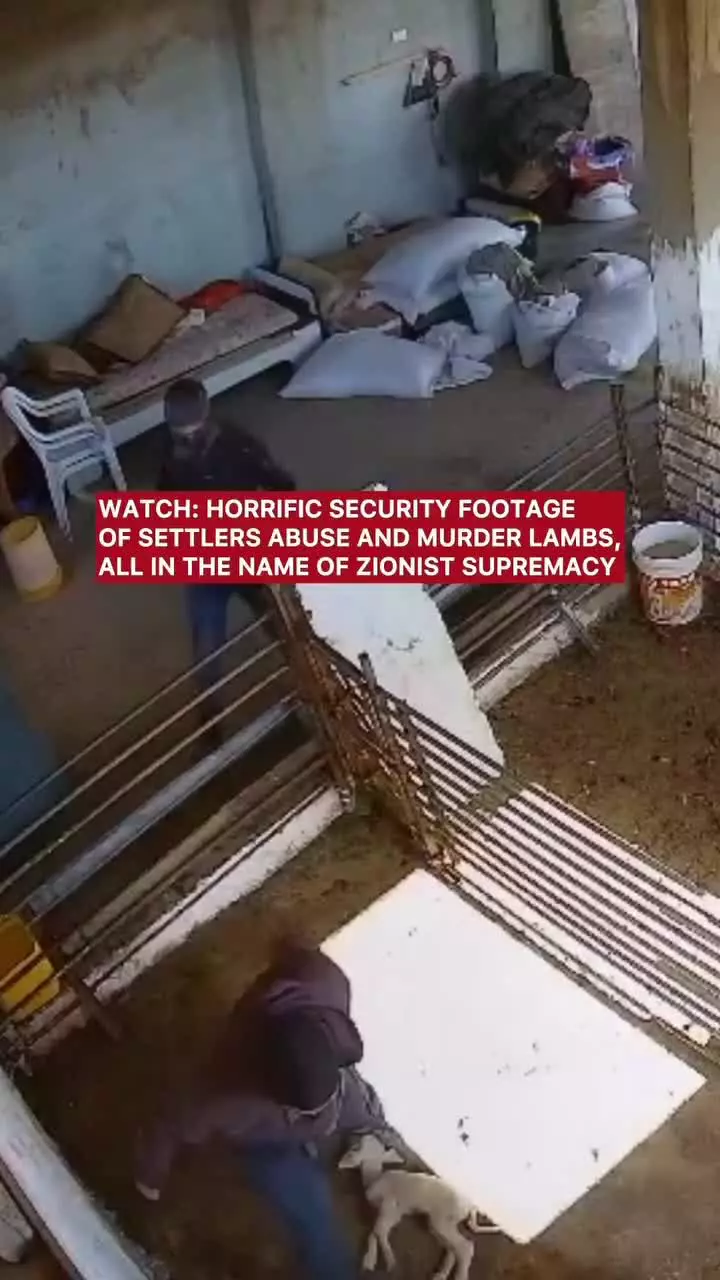 حمله اشغالگران به حیوانات در کرانه باختری