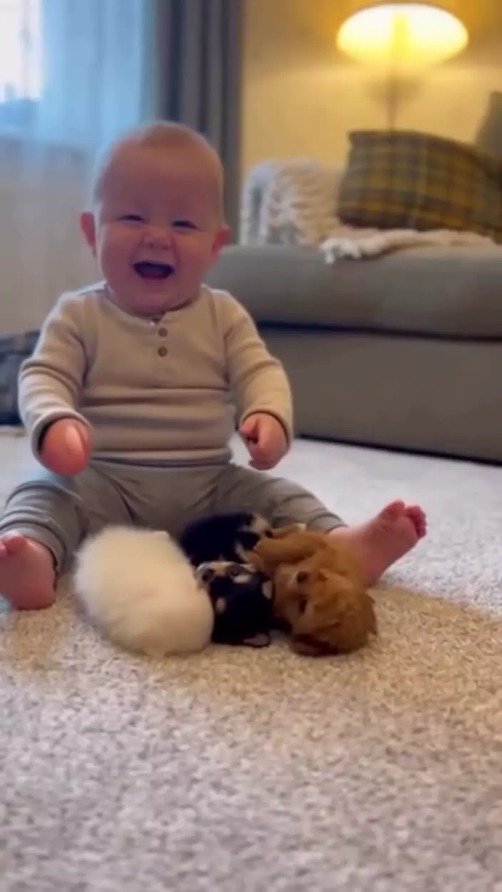 بازی بامزه بچه با سگهای کوچکش