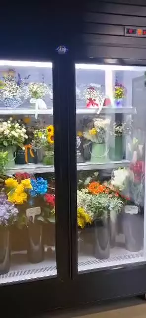 فروشنده یخچال گل صنایع برودتی پژمان