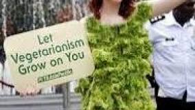 عجایب کوتاه ۷۶۶