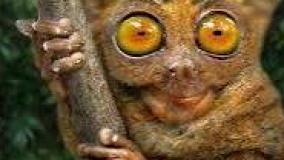 عجایب کوتاه ۸۶۵