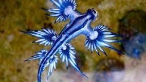 عجایب کوتاه ۵۴۳