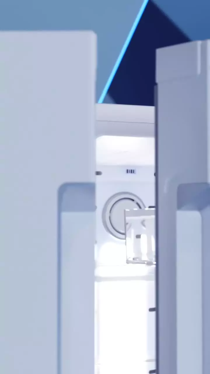 یخچال دوقلو روسو