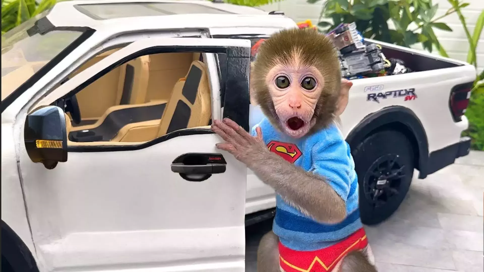 برنامه کودک بچه میمون بازیگوش و دوست جدیدش در جنگل