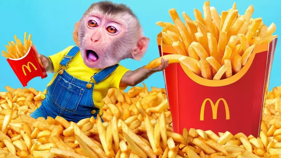 برنامه کودک بچه میمون بازیگوش – دنیای خنده، یادگیری و ماجراجویی