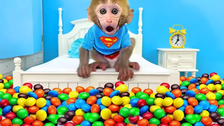 میمون کوچولو و دوست جدیدش فیل مهربون – داستانی کودکانه