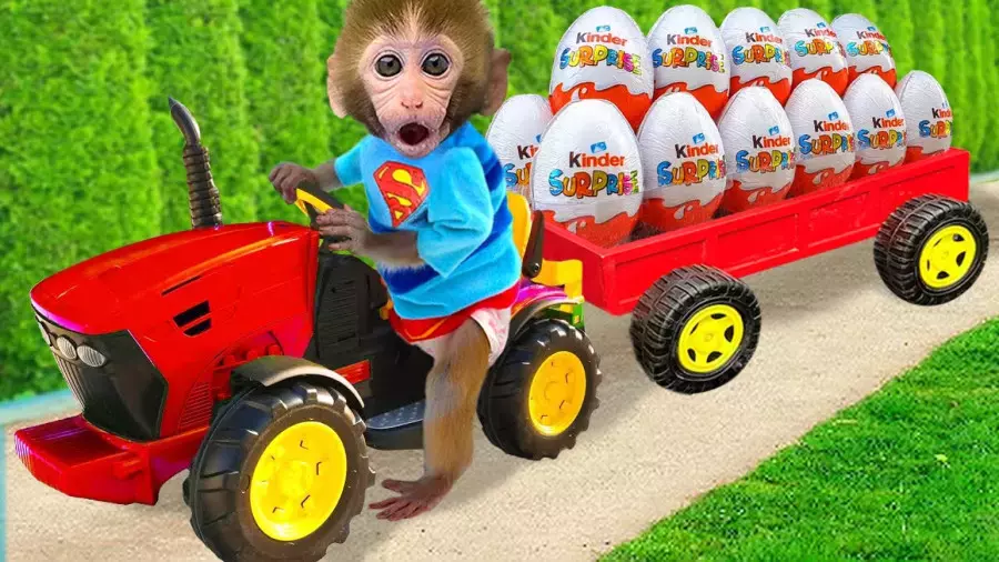 کارتون بچه میمون خنده‌دار جدید – بازی و ماجراجویی در جنگل