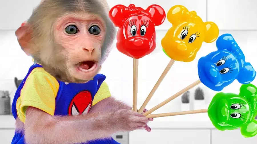 میمون کوچولو و چالش خنده‌دار تمیزکاری در خانه‌ی درختی