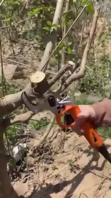 قیچی های شارژی باغبانی