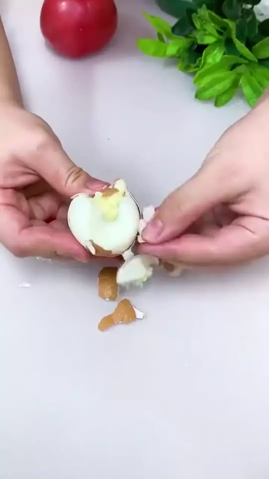 ابزارهای ریز آشپزخانه  پرکاربردی و حرفه ای