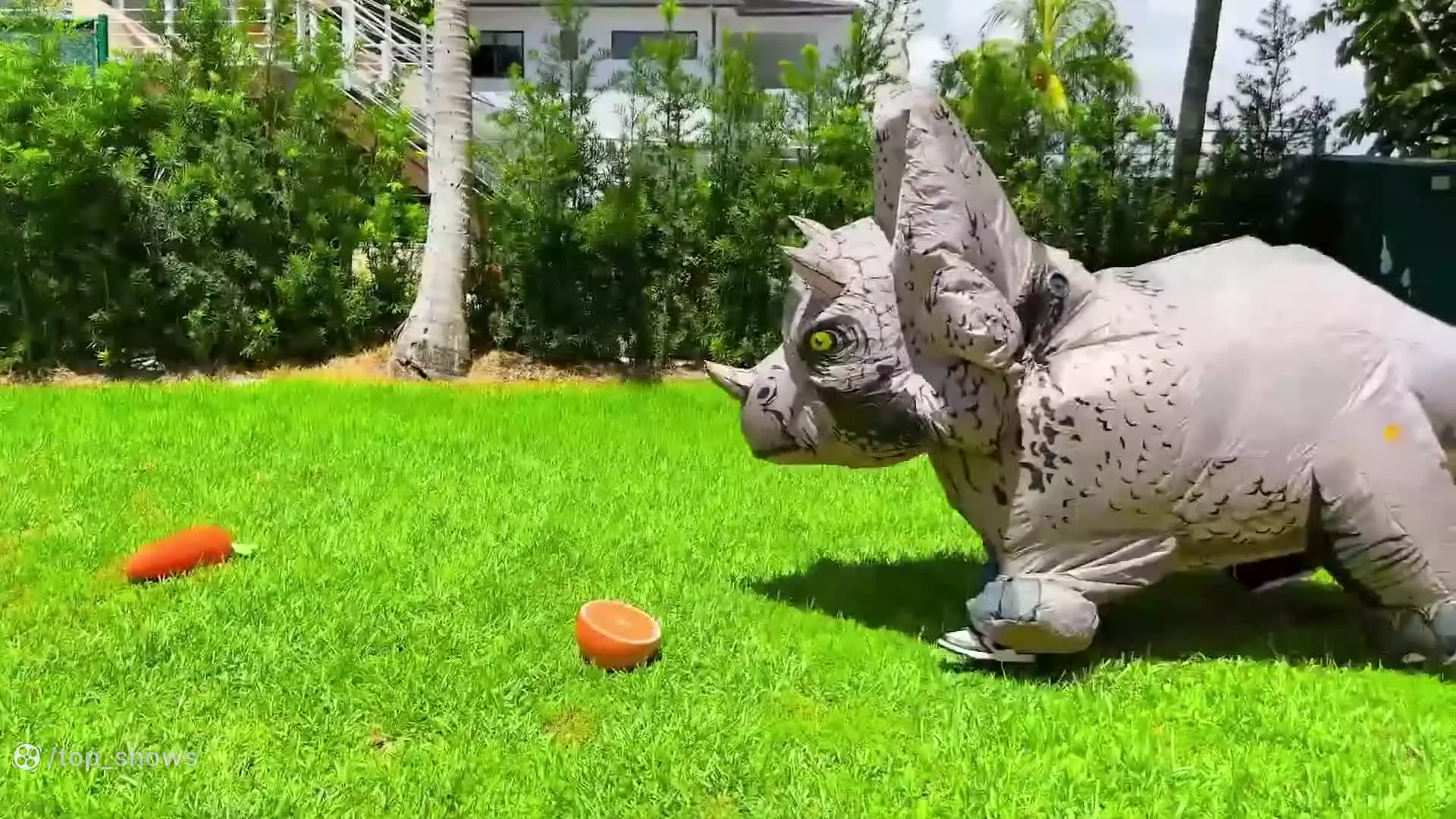 ولاد و نیکی-ولاد جدید-برنامه کودک ولاد و نیکی-ولاد بامزه-تفریح و سرگرمی