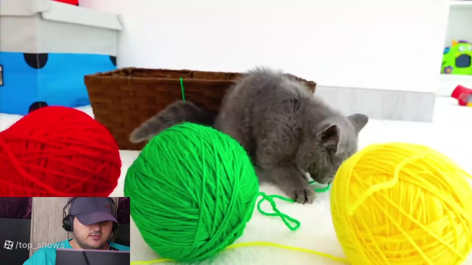 ولاد و نیکی - بچه گربه های بامزه - سرگرمی برنامه کودک