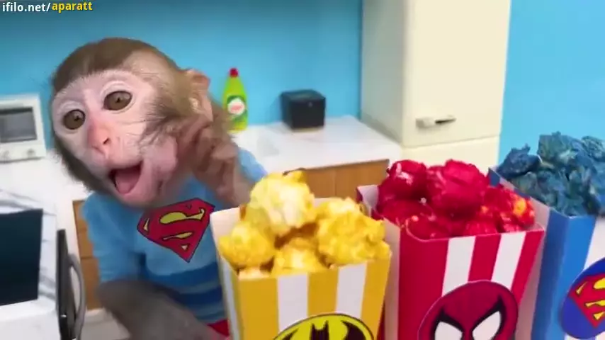 میمون کوچولو و کادوهای رنگارنگ در برنامه کودک میمون بازیگوش طولانی