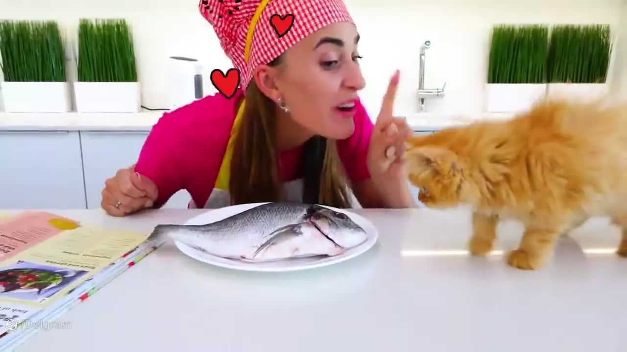 ولاد و نیکی - پیدا کردن یک گربه بامزه - ولاد و نیکیتا - کودک ولاد و نیکی