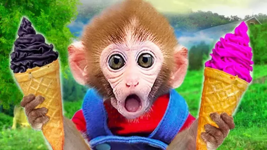 برنامه کودک میمون کوچولو و دنیای پر از موز و شادی