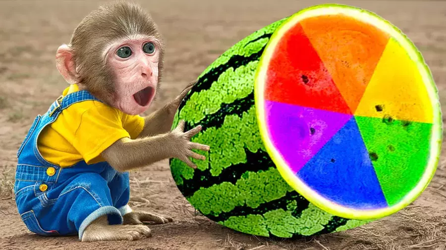 کارتون بچه میمون جدید – قسمت خنده‌دار و طولانی برای بچه‌ها