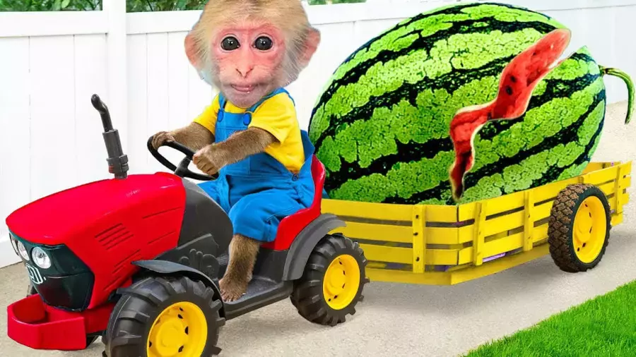 کارتون بچه میمون در سفر جادویی به شهر حیوانات