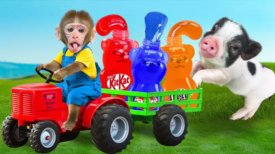 بچه میمون بازیگوش در جشن تولد بامزه جنگلی