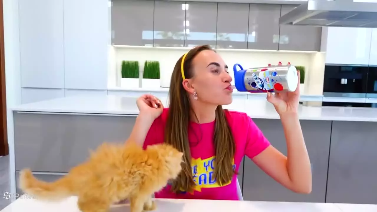 ماجراهای جذاب ولاد و نیکی / ولاد و نیکی و گربه های بامزه