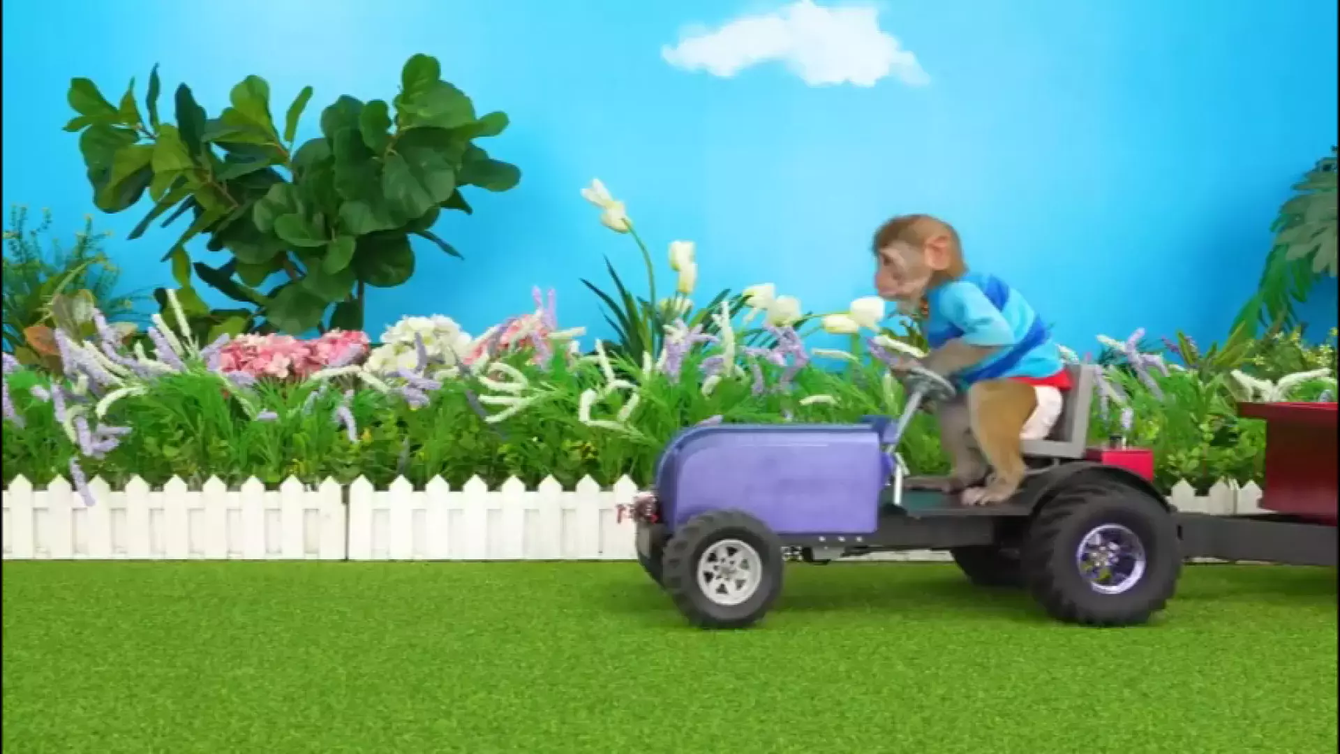 برنامه کودک بچه میمون طولانی با قصه ها و بازی ماشین ها جدید