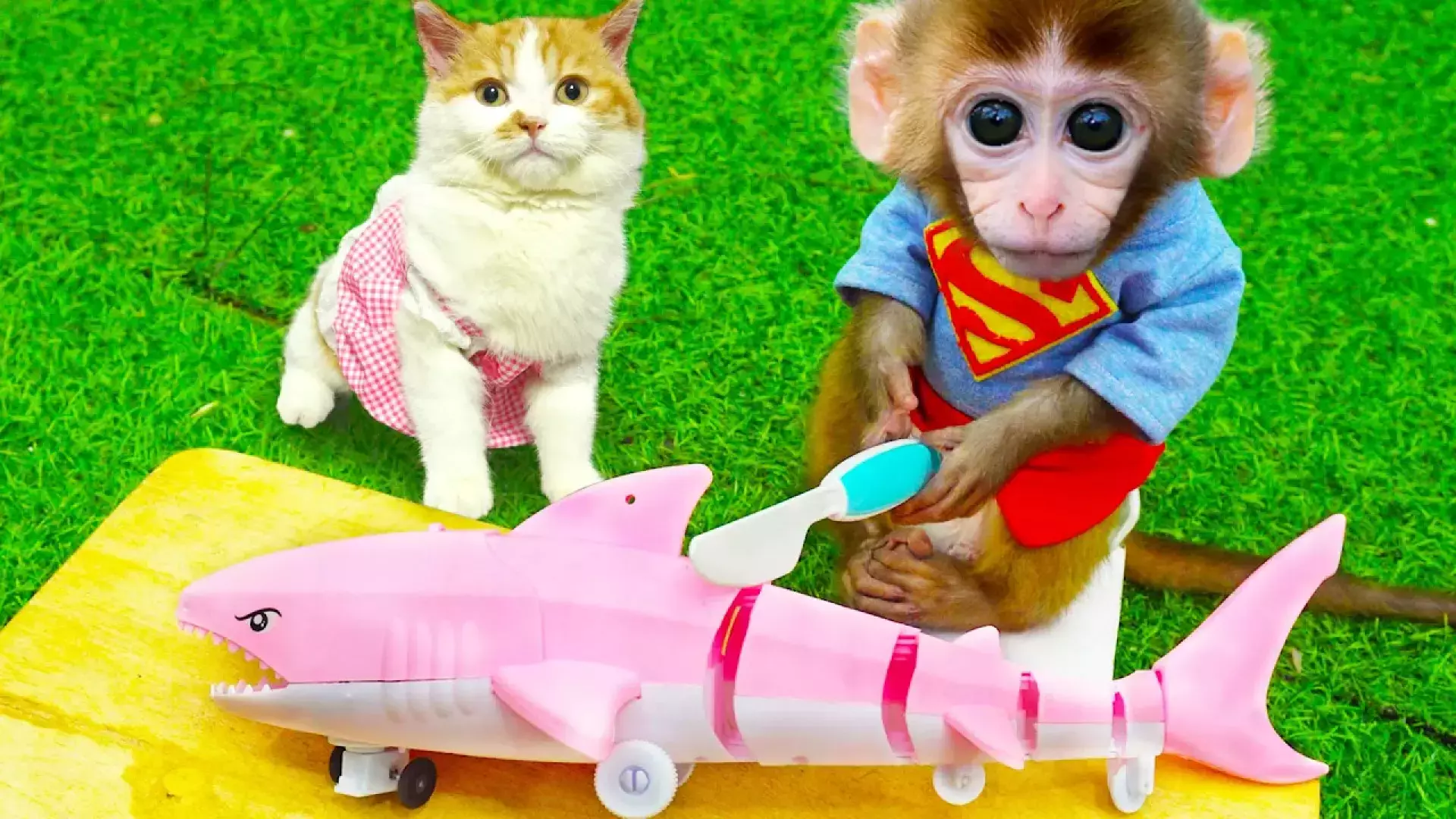 کارتون بچه میمون جدید با آهنگ‌های کودکانه و ریتم شاد