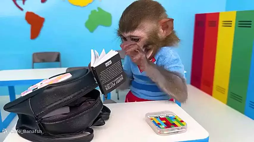 کارتون بچه میمون بازیگوش در مدرسه خنده دار جدید