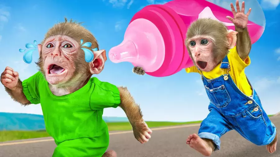 میمون کوچولو در کارتون جدید و خنده‌دار مخصوص کودکان