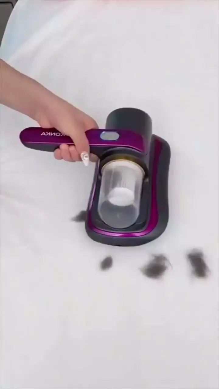 قالی شوی و مبل شوی