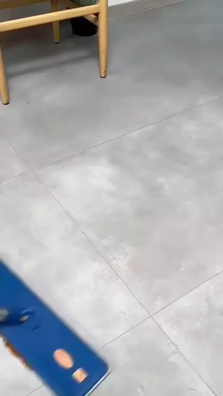 قالی شوی و مبل شوی