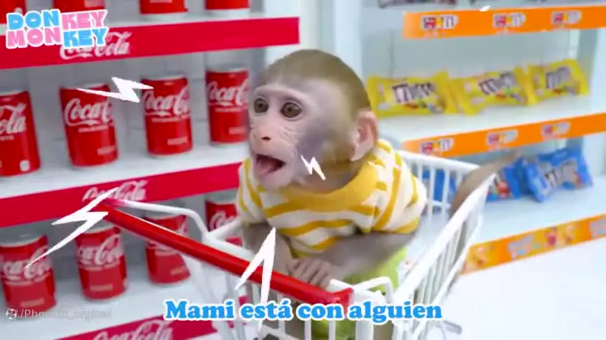 کارتون بچه میمون و دوستان | داستان آموزنده و خنده دار