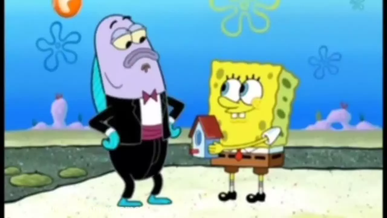 کارتون کودک باب اسفنجی هنرمند‌ |انیمیشن شاد باب اسفنجی شاد